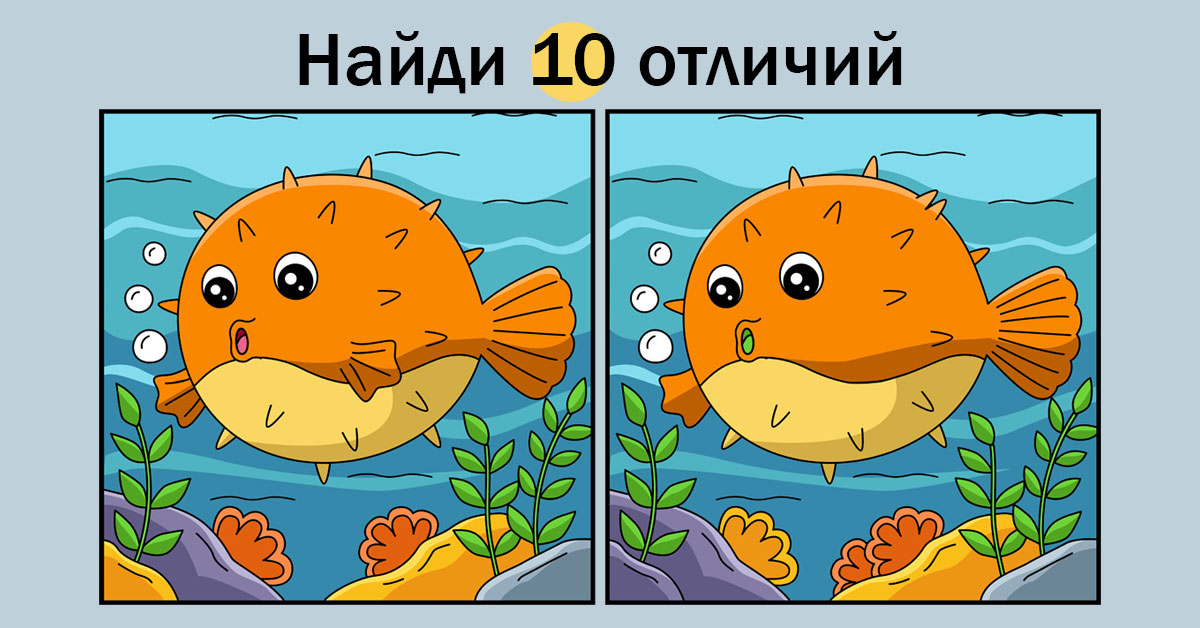 Головоломка с рыбой фугу: задание для детей и их родителей